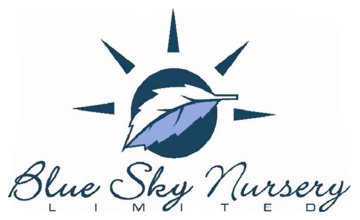 Blue Sky Nursery