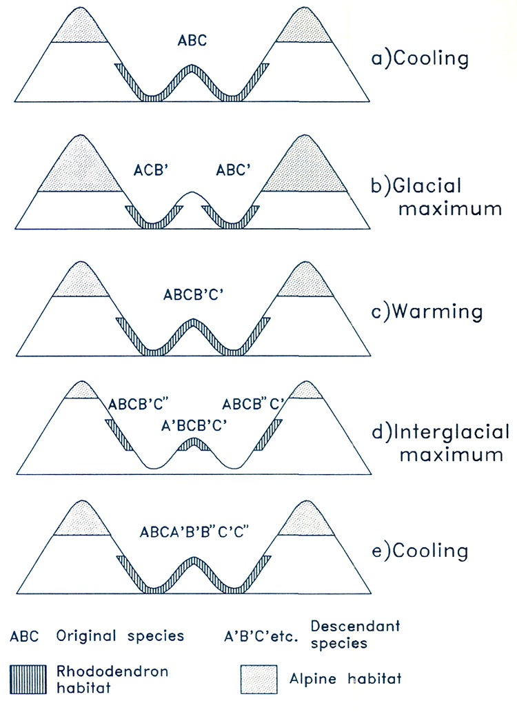 Fig11