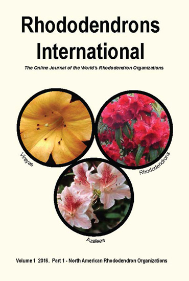 v1p1 cover