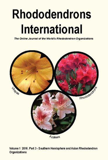 v1p3 cover