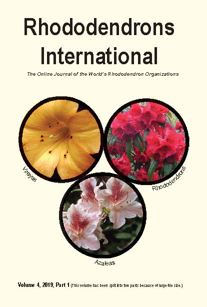 v4p1 cover