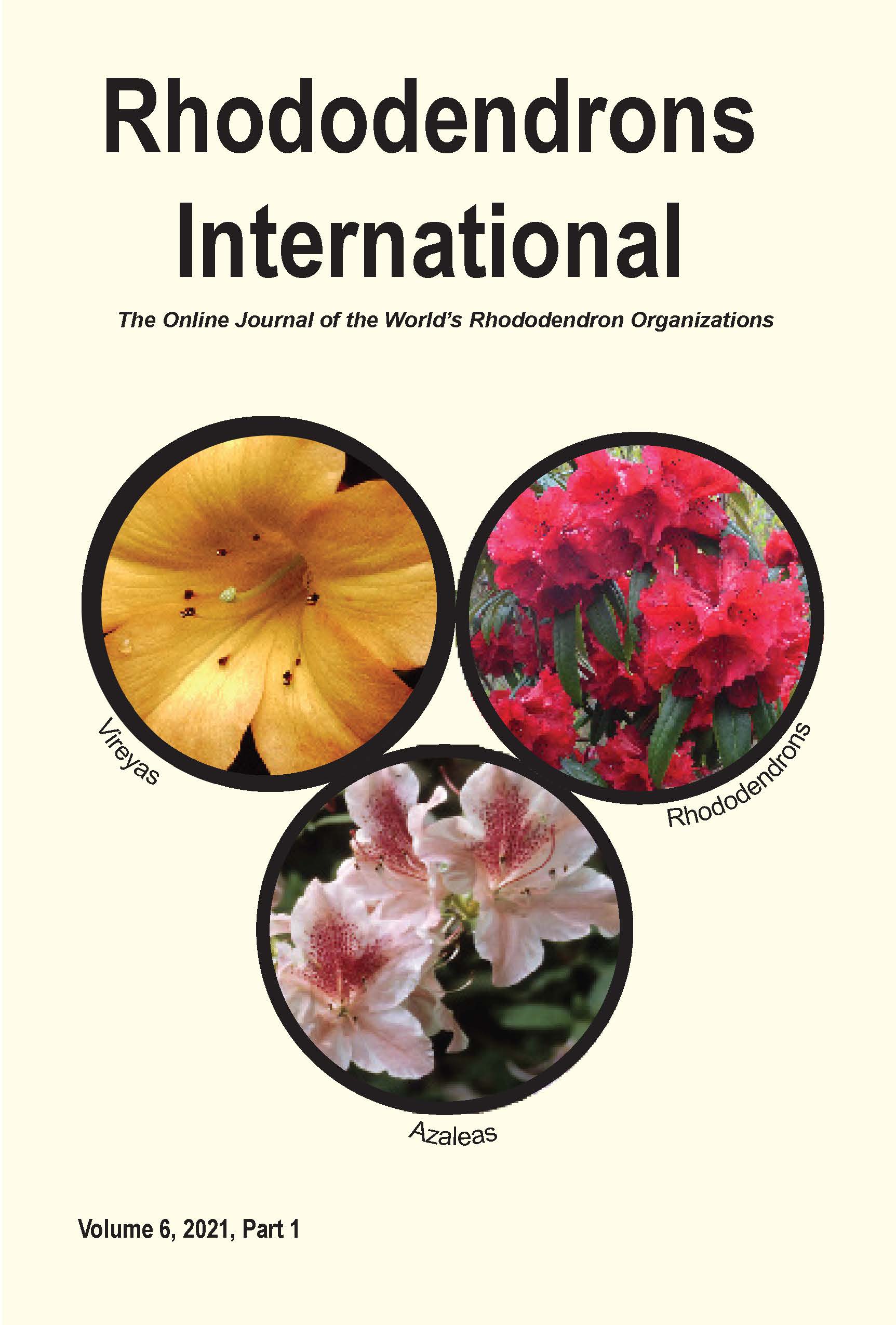 v6p1 cover