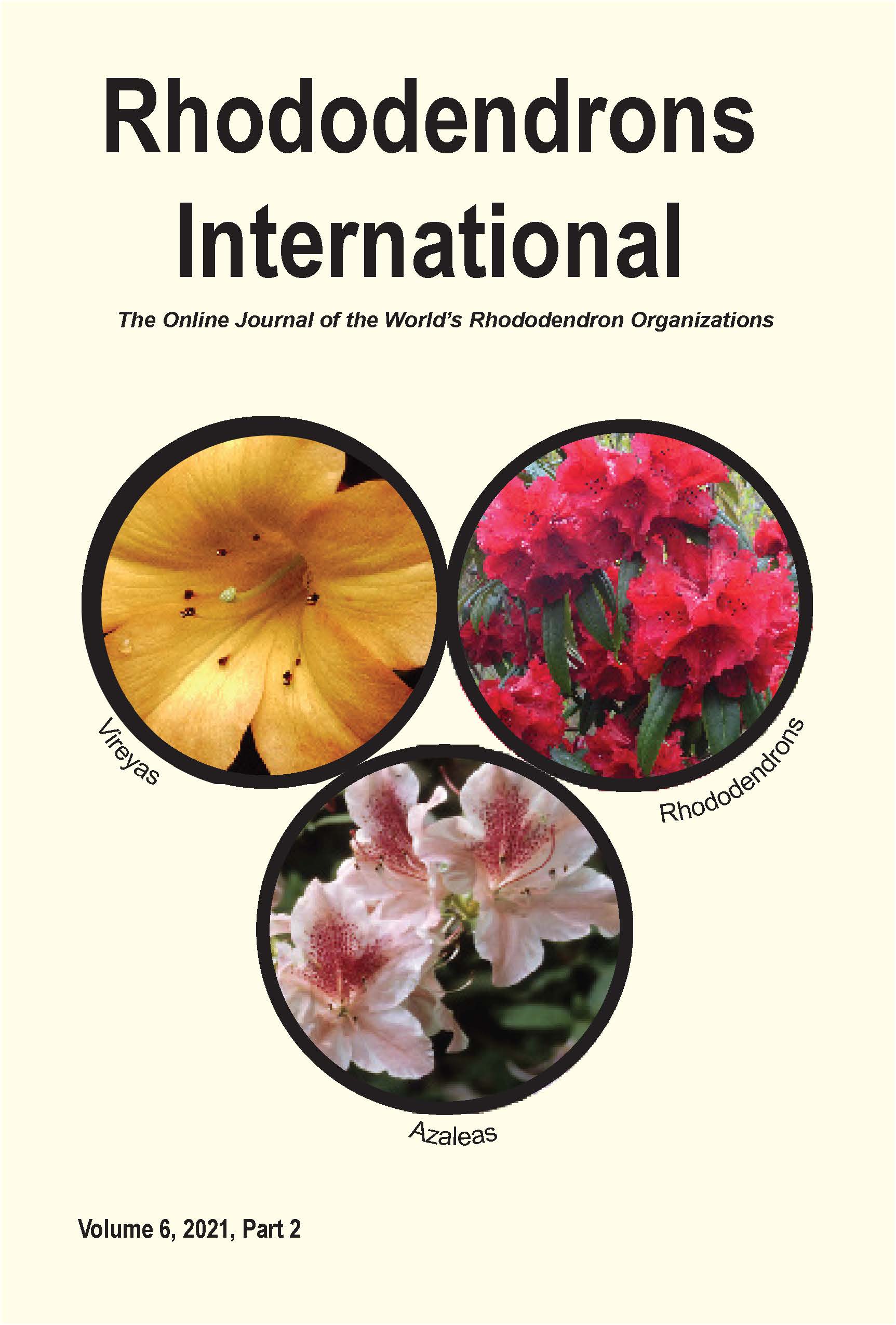 v6p2 cover