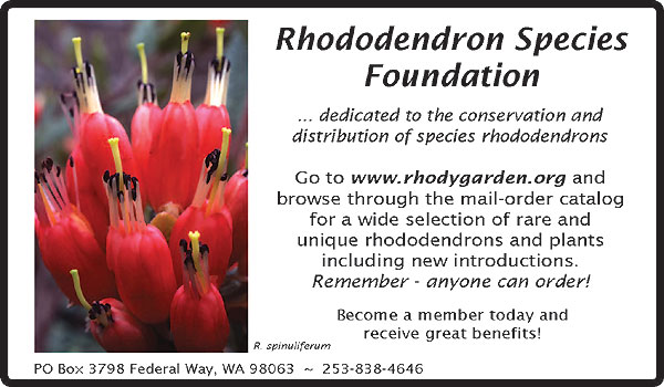 Rhododendron Species Foundation Nursery