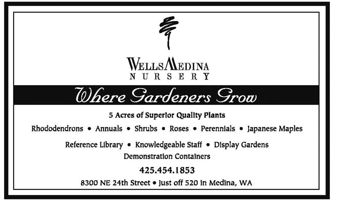 Wells Medina web ad