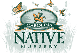 Carolina Native Nursery logo