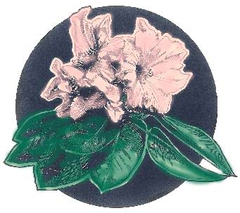 Chimacum Nursery Logo