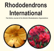 Rhododendrons International