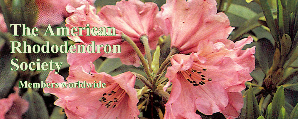 American Rhododendron Society Web Site