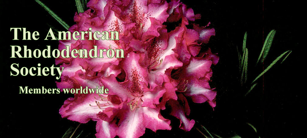 American Rhododendron Society Web Site