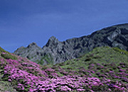Hengduan Mountain
