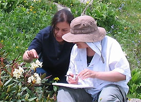 Armenia's Important Plant Areas<