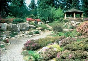 Rhododendron Species Botanical Garden