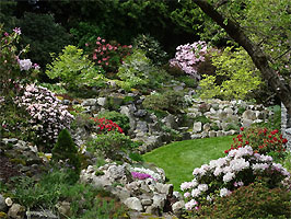 tour of David and Wendy Sellars' garden