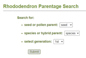 Rhododendron parentage search